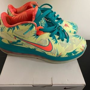 LEBRON 9 low Arnold Palmer